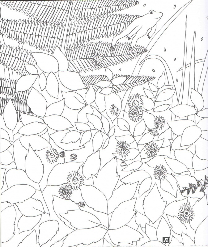 Иллюстрация 21 из 43 для Лес-чародей. Раскрась свой мир и добавь жизни цвета | Лабиринт - книги. Источник: _Ирина_