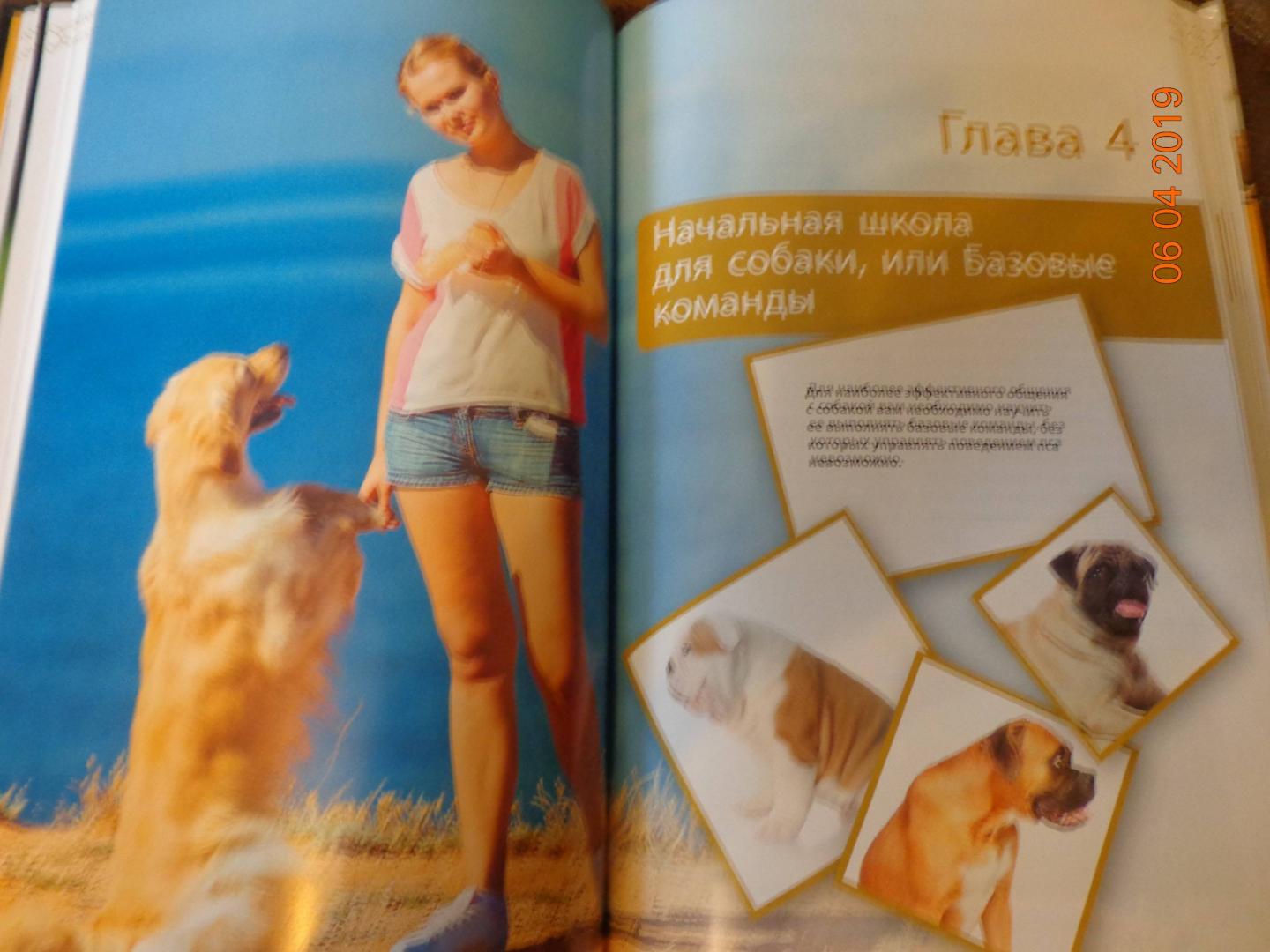 Иллюстрация 5 из 15 для Дрессировка и воспитание собаки (+DVD) - Андрей Шкляев | Лабиринт - книги. Источник: Лабиринт