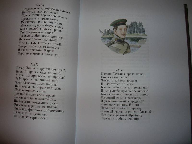 Иллюстрация 85 из 87 для Евгений Онегин - Александр Пушкин | Лабиринт - книги. Источник: Tiger.