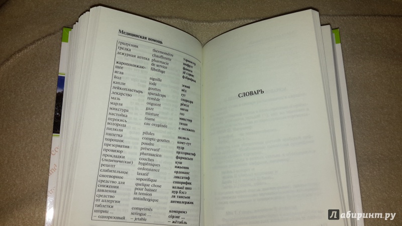 Иллюстрация 12 из 43 для Французский язык. Грамматика, разговорник, словарь | Лабиринт - книги. Источник: Маруся (@smelayatrysixa)
