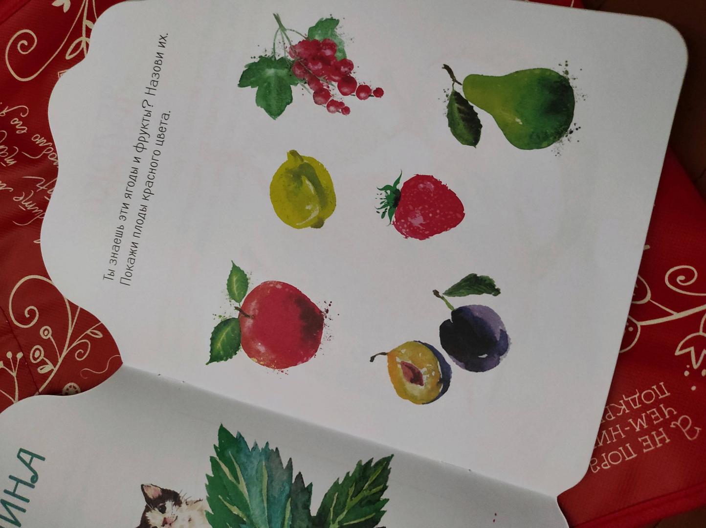 Иллюстрация 14 из 35 для Наклейки Лила Лу 3+. Фрукты и ягоды | Лабиринт - книги. Источник: Ольга