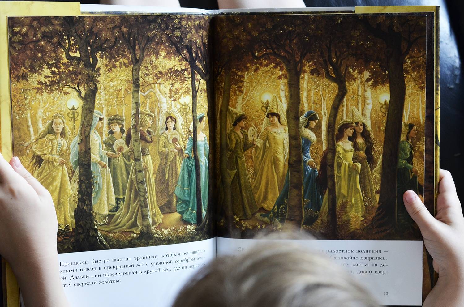 Иллюстрация 68 из 79 для Двенадцать танцующих принцесс - Гримм Якоб и Вильгельм | Лабиринт - книги. Источник: Алпатова  Ирина
