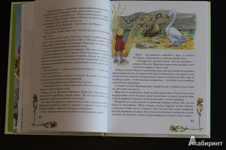 Иллюстрация 47 из 50 для Чудесное путешествие Нильса с дикими гусями - Сельма Лагерлеф | Лабиринт - книги. Источник: LittleDragon