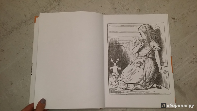 Иллюстрация 10 из 18 для Алиса Джона Тенниела. Раскраски, поднимающие настроение | Лабиринт - книги. Источник: Машкова Анна