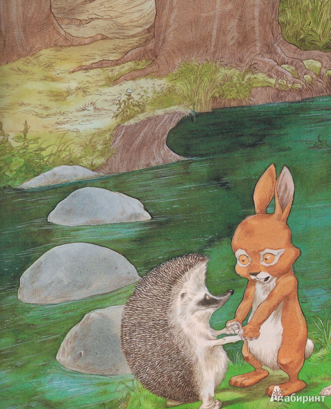 Иллюстрация 12 из 55 для Сказки о Ёжике и Кролике - Пол Стюарт | Лабиринт - книги. Источник: nathen