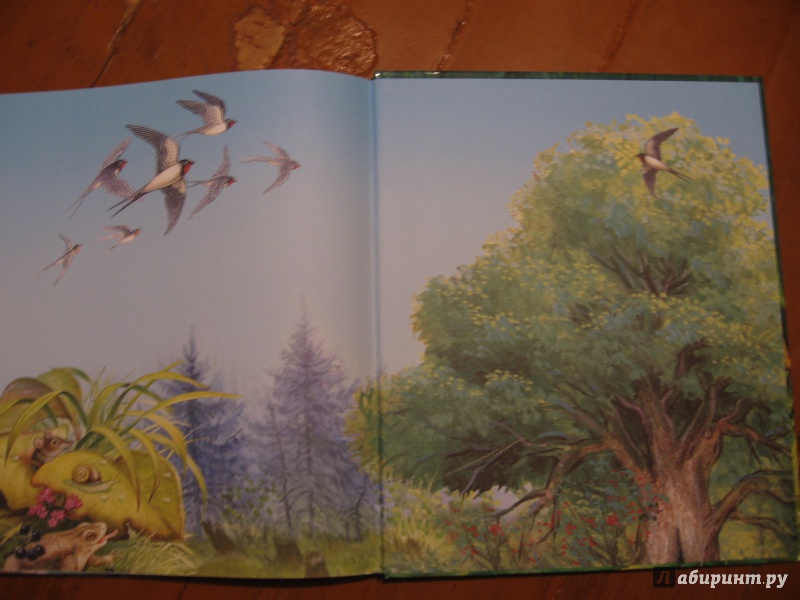 Иллюстрация 5 из 35 для Сказки о животных - Виталий Бианки | Лабиринт - книги. Источник: Фирсова  Ирина