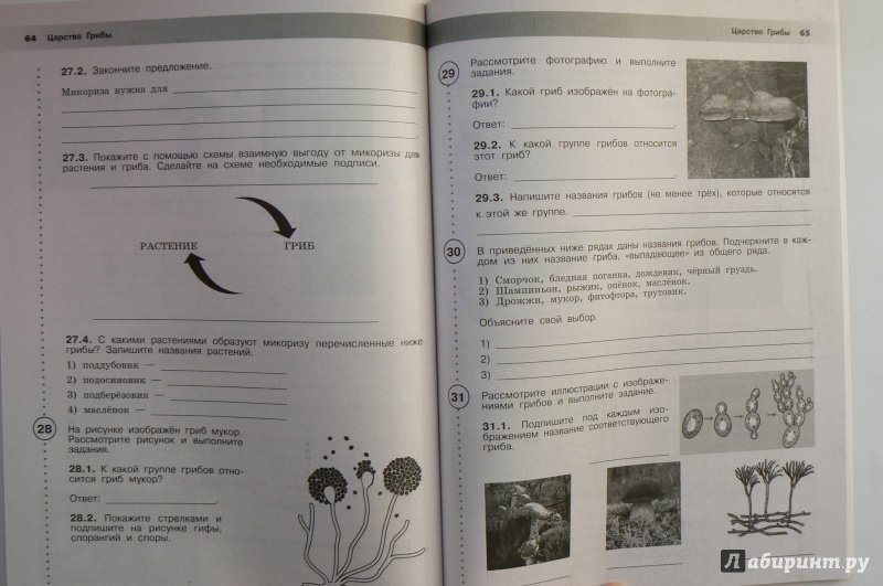 Иллюстрация 5 из 5 для Всероссийские проверочные работы. Биология. 5 класс. Рабочая тетрадь. ФГОС - Рохлов, Мишняева, Скворцов | Лабиринт - книги. Источник: Марина