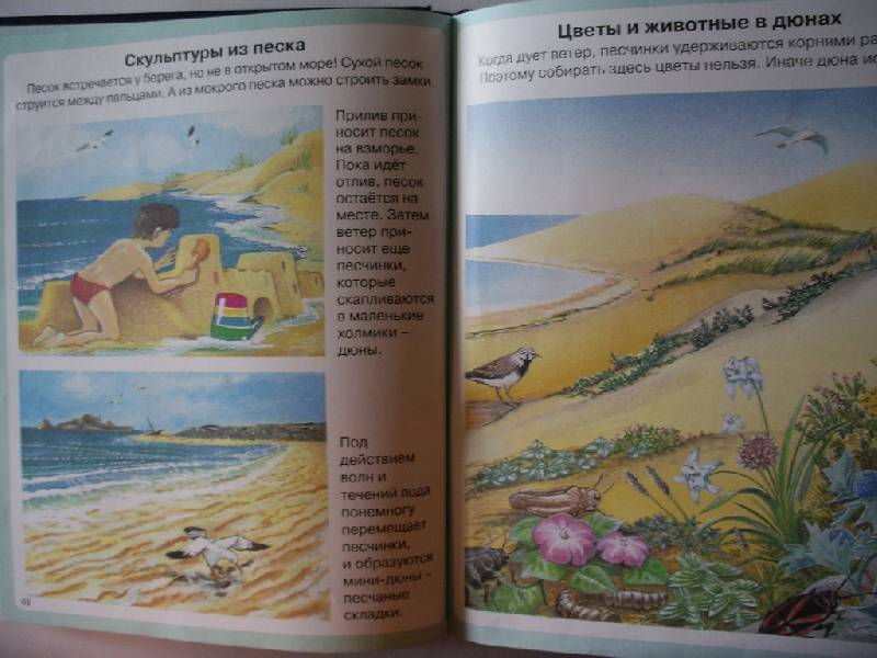 Иллюстрация 29 из 45 для Тайны моря - Мари-Рене Пимон | Лабиринт - книги. Источник: Tiger.