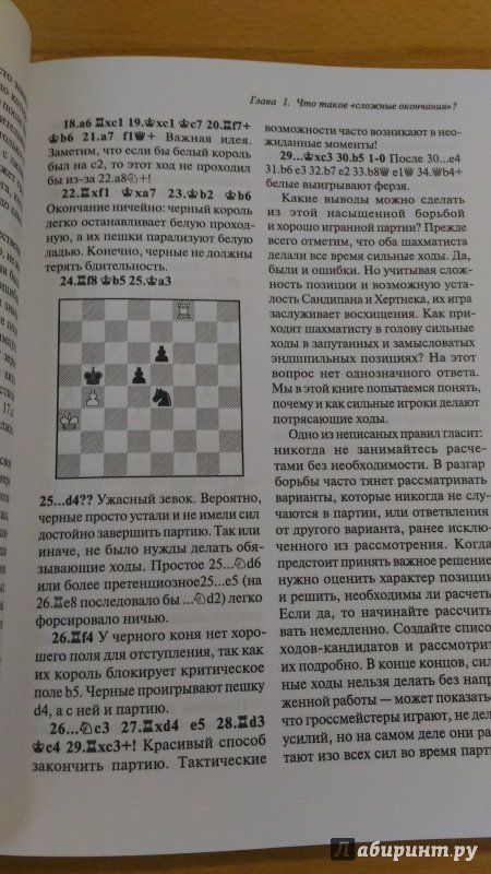 Иллюстрация 8 из 34 для Шахматы. Мастерство игры в эндшпиле - Даниил Народицкий | Лабиринт - книги. Источник: Wiseman