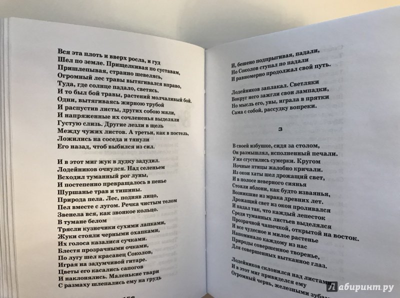 Иллюстрация 9 из 31 для Поэмы - Николай Заболоцкий | Лабиринт - книги. Источник: Ромыдтчъ