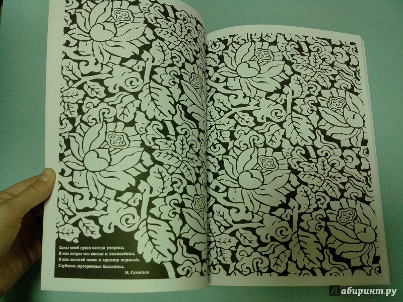Иллюстрация 4 из 24 для Узоры и цветы | Лабиринт - книги. Источник: dbyyb