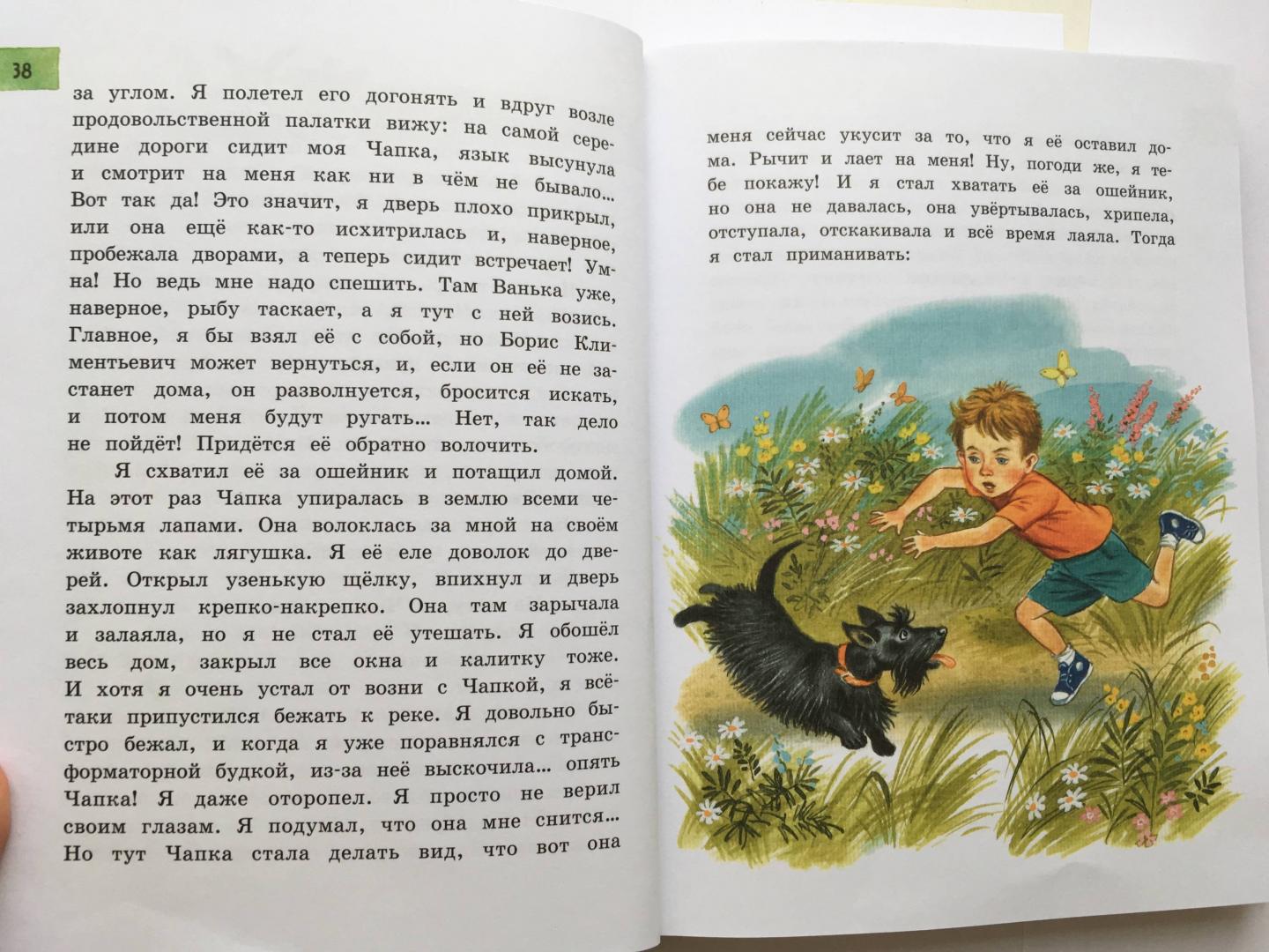 Иллюстрация 45 из 48 для Денискины рассказы - Виктор Драгунский | Лабиринт - книги. Источник: Ксюша