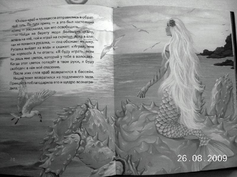 Иллюстрация 19 из 25 для Король, королевич и заколдованная принцесса. Заморские сказки | Лабиринт - книги. Источник: star