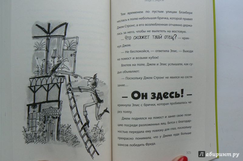 Иллюстрация 6 из 18 для Драконы в Старом замке - Терри Пратчетт | Лабиринт - книги. Источник: Марина