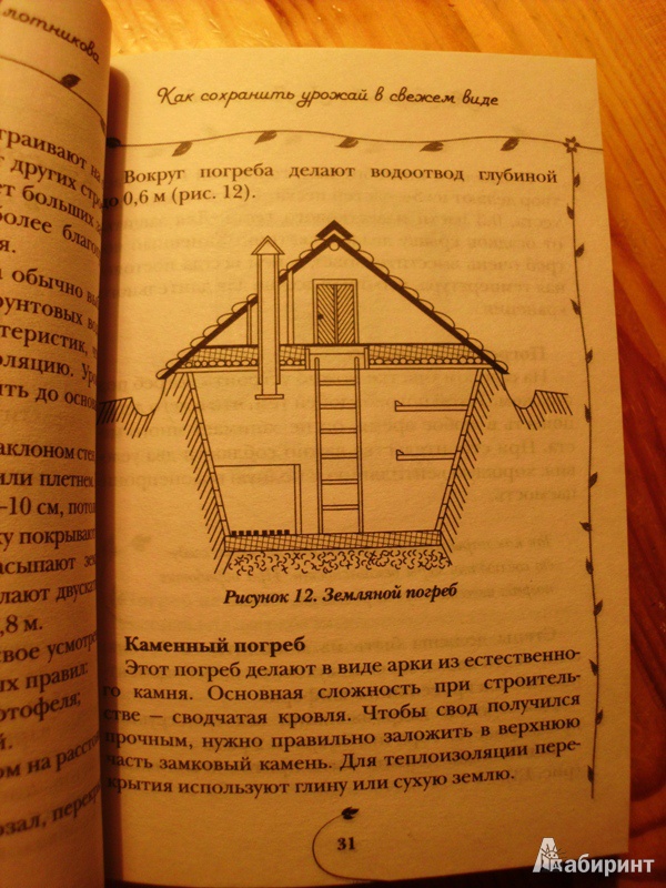 Иллюстрация 6 из 14 для Как сохранить урожай - Гаврилова, Плотникова | Лабиринт - книги. Источник: Sonya Summer