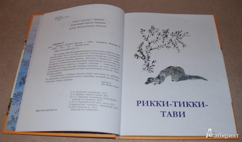 Иллюстрация 12 из 45 для Сказки с далеких берегов - Редьярд Киплинг | Лабиринт - книги. Источник: Книжный кот