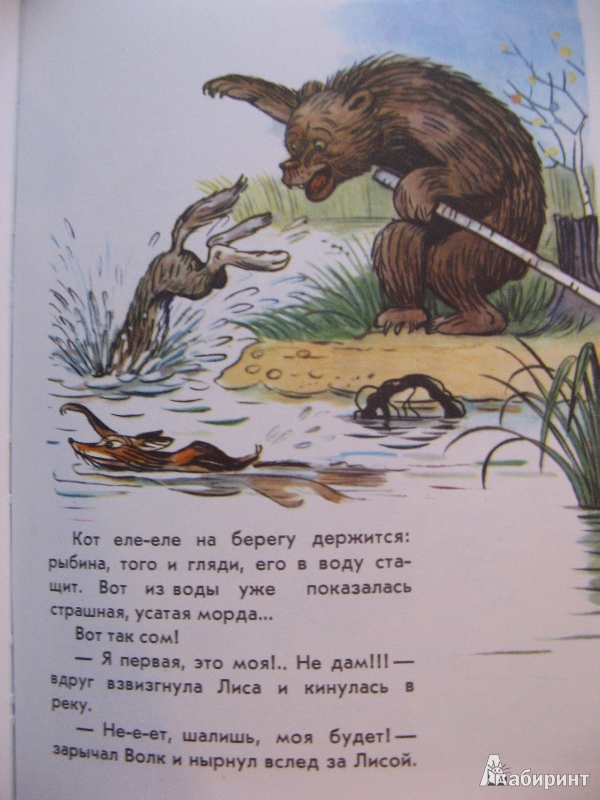 Иллюстрация 6 из 20 для Книга сказок для семейного чтения - Бианки, Заходер, Сутеев | Лабиринт - книги. Источник: Ольга