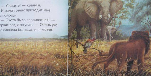 Иллюстрация 2 из 2 для Приключения серого слоненка - Динара Селиверстова | Лабиринт - книги. Источник: Юта