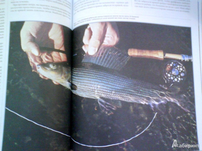 Иллюстрация 4 из 4 для Рыбалка. Большая энциклопедия | Лабиринт - книги. Источник: Мила
