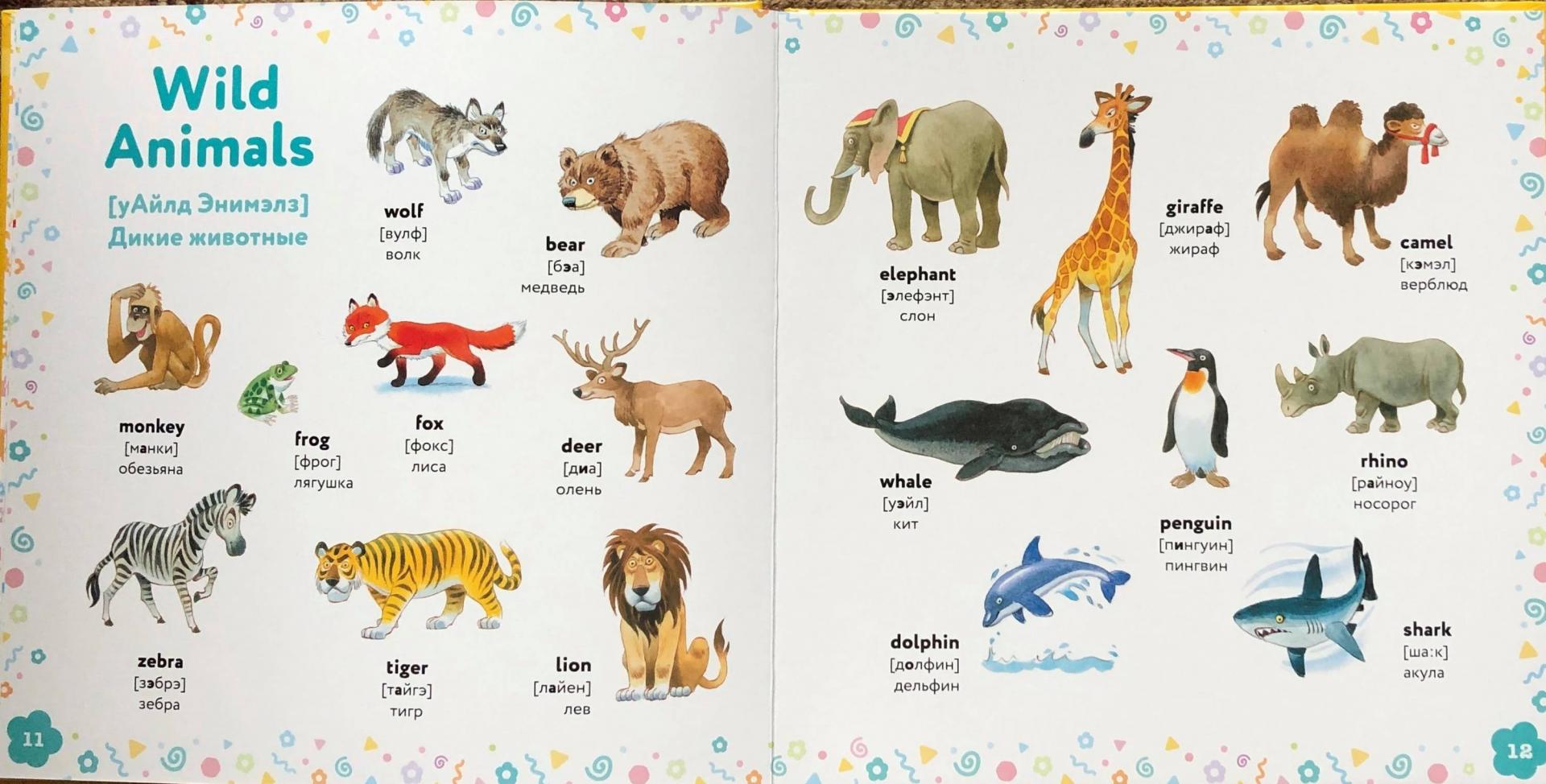 Учить названия животных. Английский в картинках для малышей с иллюстрациями Тони Вульфа. Английский для детей картинки. Животные на английском для детей. Английский для малышей в картинках.