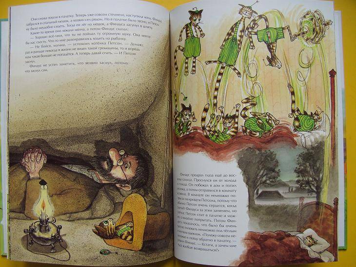 Иллюстрация 15 из 46 для Петсон идет в поход - Свен Нурдквист | Лабиринт - книги. Источник: мама малыша