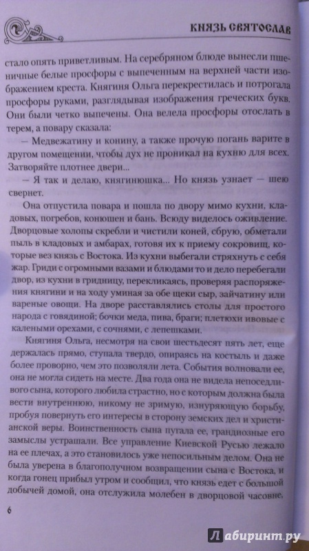 Иллюстрация 8 из 16 для Князь Святослав - Николай Кочин | Лабиринт - книги. Источник: Подмосковная панда