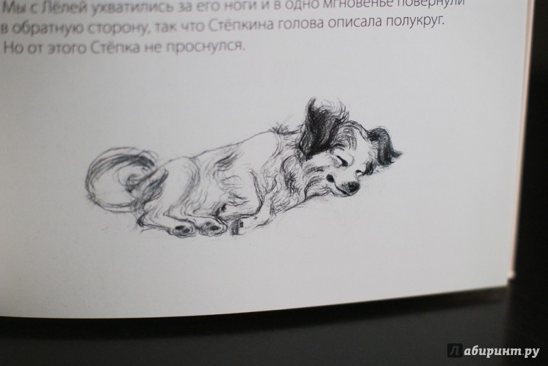 Иллюстрация 42 из 44 для Леля и Минька - Михаил Зощенко | Лабиринт - книги. Источник: Лагода  Александра