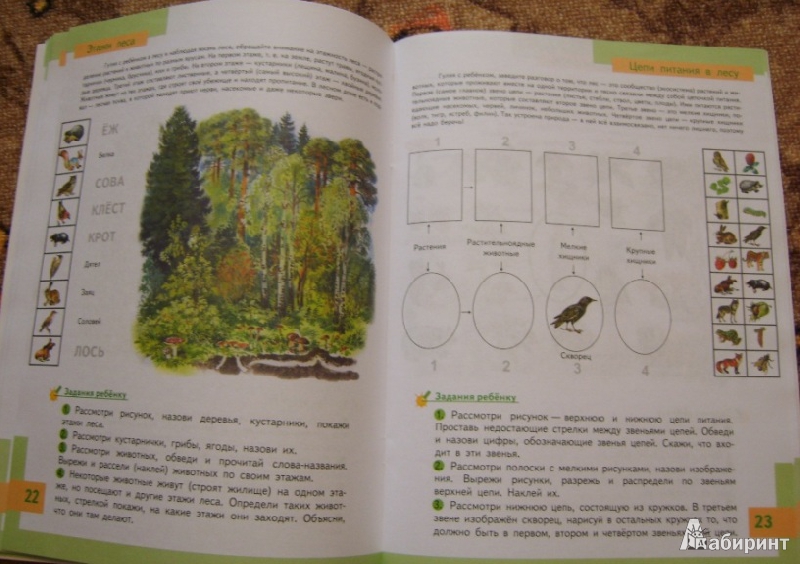 Иллюстрация 15 из 22 для Познаем природу - готовимся к школе: экологическая тетрадь для детей шестилетнего возраста - Николаева, Волкова | Лабиринт - книги. Источник: Tatka