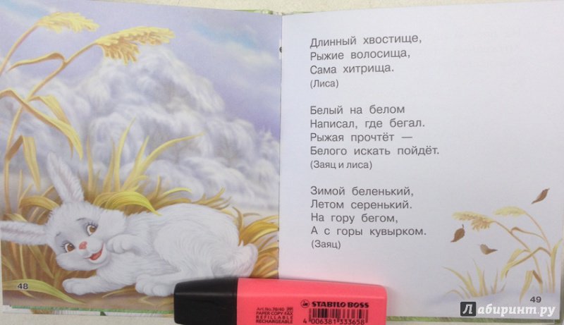 Иллюстрация 41 из 48 для Книга загадок - Валентина Дмитриева | Лабиринт - книги. Источник: Милкина радость