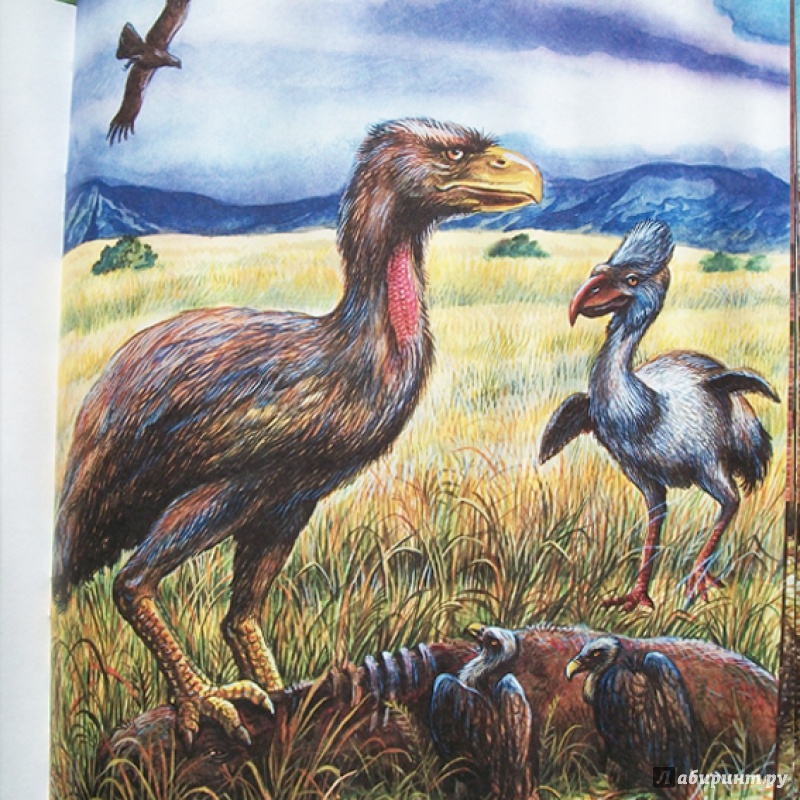 Иллюстрация 13 из 66 для Палеонтология в картинках - Ирина Яковлева | Лабиринт - книги. Источник: Bliss65