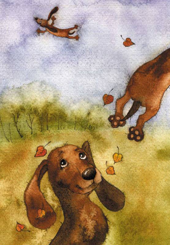 Иллюстрация 10 из 31 для Щенячий восторг и прочие хвостатые радости. Комплект из 16 открыток - Виктория Кирдий | Лабиринт - сувениры. Источник: mif