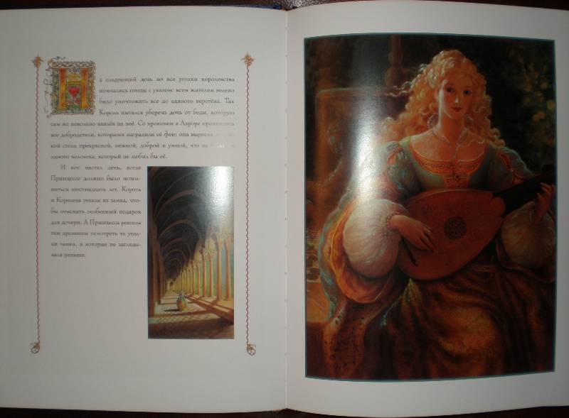 Иллюстрация 19 из 72 для Спящая красавица. Золушка - Шарль Перро | Лабиринт - книги. Источник: Гостья