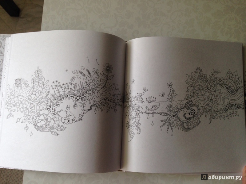 Иллюстрация 39 из 149 для Таинственный сад - Джоанна Бэсфорд | Лабиринт - книги. Источник: Серегина  Мария