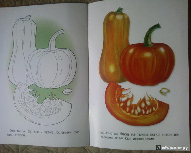 Иллюстрация 9 из 19 для Раскраска "Овощи" | Лабиринт - книги. Источник: Родионова  Надежда