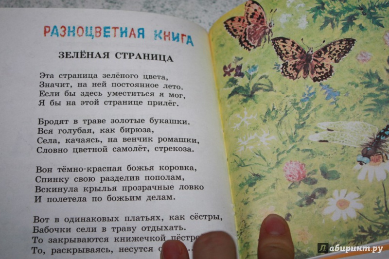 Книга зеленые страницы 2 класс первые бабочки. Рассказ первые бабочки зеленые страницы. Зеленая книга рассказ первые бабочки. Рассказ первые бабочки. Книга зелёные страницы рассказ первые бабочки.