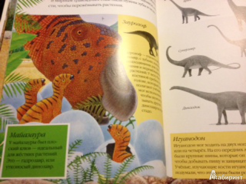 Иллюстрация 4 из 7 для Чудо-наклейки. Динозавры - Морис Пледжер | Лабиринт - книги. Источник: Смирнова  Елена