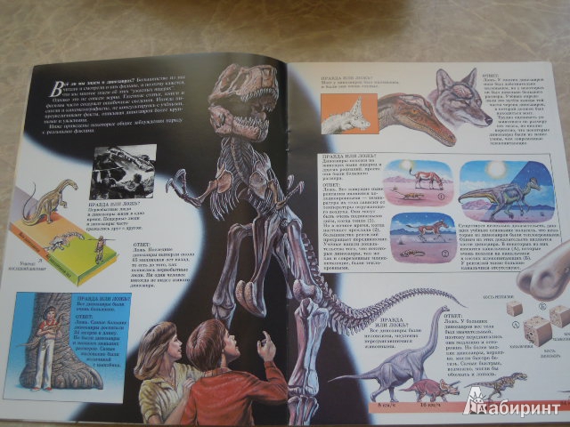 Иллюстрация 18 из 21 для Динозавры - Джон Веско | Лабиринт - книги. Источник: Iwolga