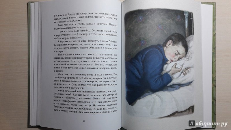 Иллюстрация 106 из 113 для Удивительный заклад - Екатерина Боронина | Лабиринт - книги. Источник: Елена  Е.