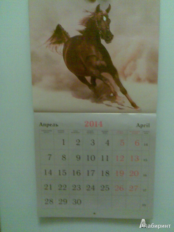 Иллюстрация 6 из 9 для Календарь 2014 "Символ года. Прекрасные лошади" (КС121401) | Лабиринт - сувениры. Источник: Tanajkan