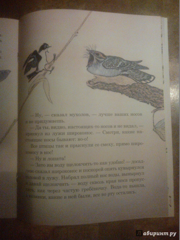 Иллюстрация 37 из 51 для Чей нос лучше - Виталий Бианки | Лабиринт - книги. Источник: antimo