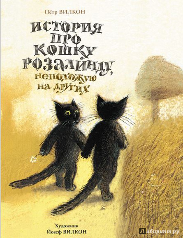Иллюстрация 6 из 33 для История про кошку Розалинду, непохожую на других - Петр Вилкон | Лабиринт - книги. Источник: angela_kvitka