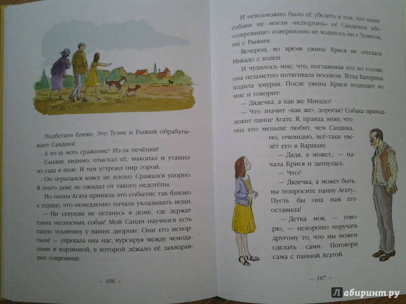 Иллюстрация 21 из 46 для Тузик, Рыжий и гости - Ян Грабовский | Лабиринт - книги. Источник: Olga