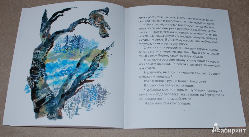 Иллюстрация 11 из 15 для Цапля - Евгений Чарушин | Лабиринт - книги. Источник: Книжный кот
