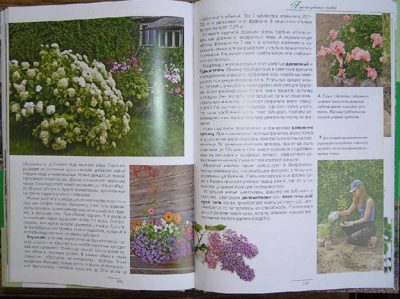 Иллюстрация 6 из 7 для Ваш сад - красивый и удобный. Современное руководство по благоустройству сада - Антон Дубенюк | Лабиринт - книги. Источник: olga_k
