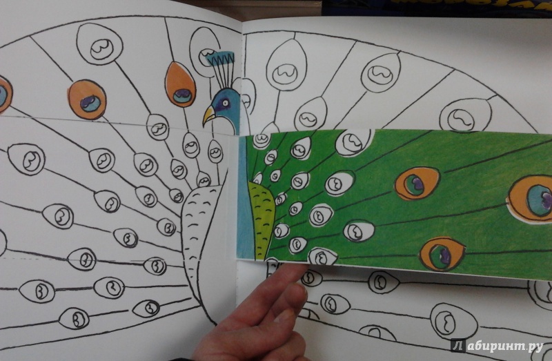 Иллюстрация 60 из 80 для Разноцветная ферма. Книжка-раскраска - Пито, Жерве | Лабиринт - книги. Источник: angela_kvitka