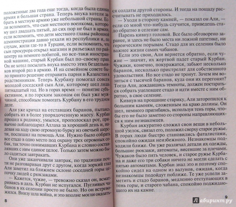 Иллюстрация 5 из 5 для Закон негодяев - Чингиз Абдуллаев | Лабиринт - книги. Источник: Соловьев  Владимир