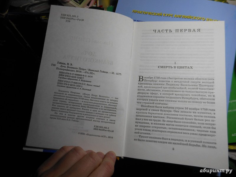 Иллюстрация 7 из 27 для Дочь Великого Петра - Николай Гейнце | Лабиринт - книги. Источник: Савина  Евгения