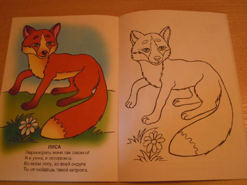 Иллюстрация 9 из 10 для Ребятам о зверята - Татьяна Коваль | Лабиринт - книги. Источник: Iwolga
