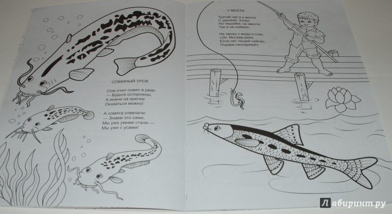 Иллюстрация 5 из 11 для Форелевая речка - Н. Красильников | Лабиринт - книги. Источник: Лабиринт