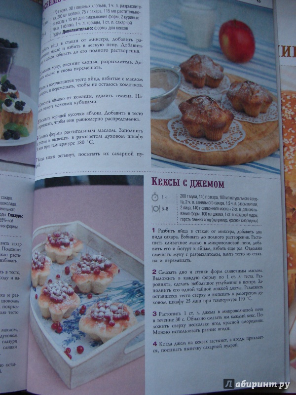 Иллюстрация 10 из 17 для 100 лучших рецептов домашних пирогов | Лабиринт - книги. Источник: Якунина  Татьяна Анатольевна